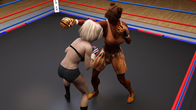 Обои картинки фото 3д графика, спорт , sport, ринг, фон, взгляд, девушки, бокс