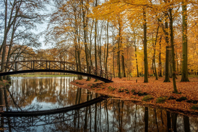 Обои картинки фото природа, парк, осень, мост, листопад, водоем