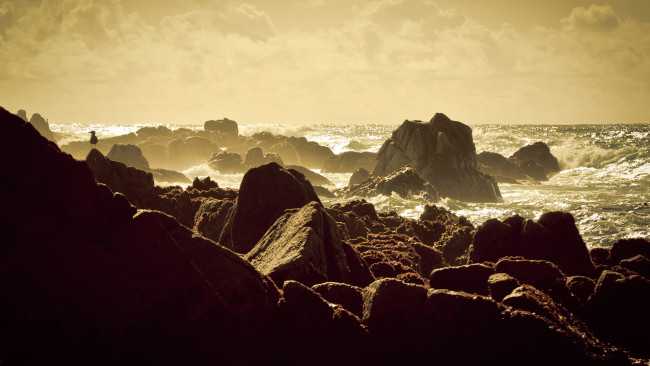 Обои картинки фото природа, побережье, камни, чайка, прибой, скалы, море