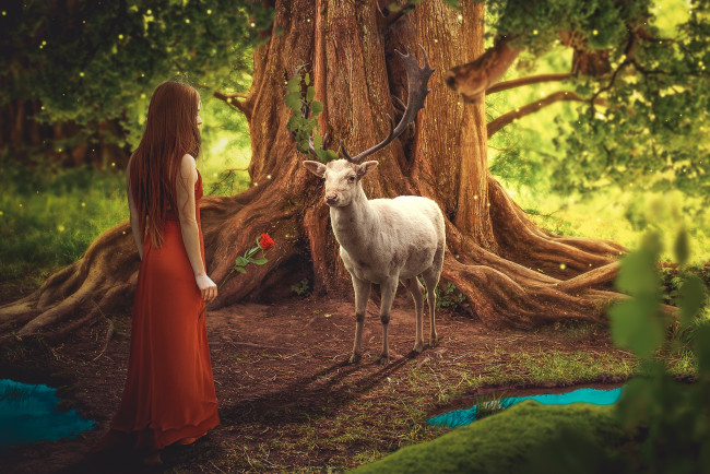 Обои картинки фото фэнтези, фотоарт, сказочный, лес, девушка, с, розой, олень