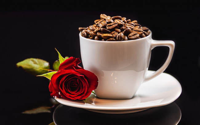 Обои картинки фото еда, кофе,  кофейные зёрна, чашка, зерна, кофейные, роза, алая