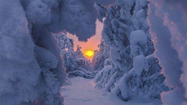Обои картинки фото природа, зима, заснеженная, тропа, деревья, восход, солнца