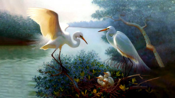 Картинка вариант+2 рисованное животные +птицы +аисты аисты