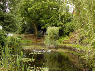Картинка природа парк водоем фонтан кусты цветы