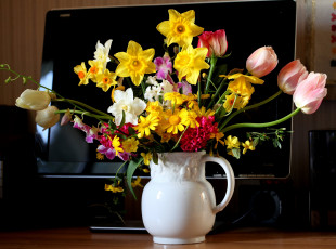 Картинка цветы букеты композиции монитор кувшин нарциссы тюльпаны