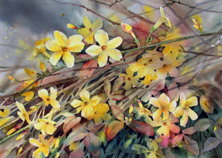 Картинка ann mortimer рисованные желтый жасмин