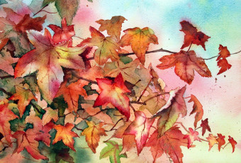 обоя ann, mortimer, рисованные, осенние, листья