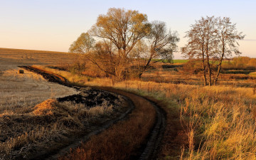 Картинка природа дороги дорога поле закат