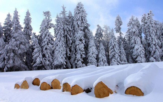 Обои картинки фото природа, зима, брёвна, ели, деревья, снег