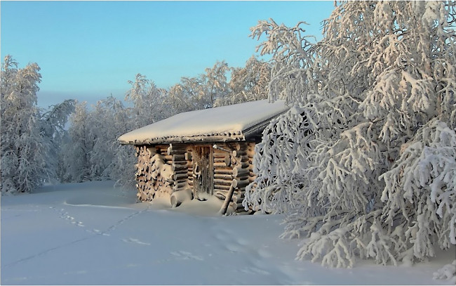 Обои картинки фото природа, зима, снег, деревья, сторожка