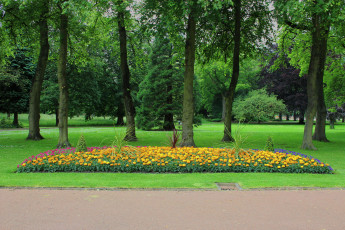 Картинка ropner park графство дарем англия природа парк деревья клумба цветы