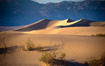 Картинка природа пустыни барханы песок пустыня горы следы