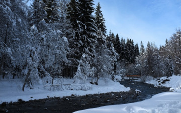 Картинка природа реки озера лес река зима