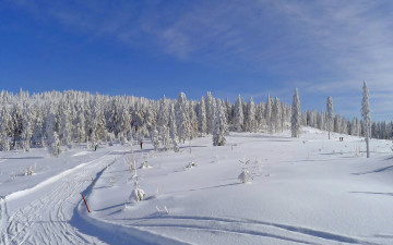 Картинка природа зима пейзаж поле лыжня