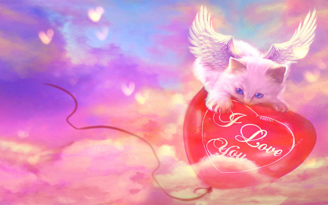 Обои картинки фото праздничные, день, св, валентина, сердечки, любовь, котёнок, воздушный, шарик, сердце, крылышки, ангелочек