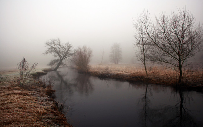 Обои картинки фото природа, реки, озера, туман, трава, деревья, река, осень
