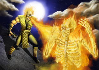 Картинка mortal+kombat видео+игры mortal+kombat+ 2011 скелет череп скорпион ninja scorpion mortal kombat фаталити огонь