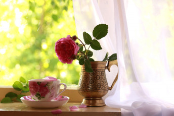 Картинка цветы розы окно чашка
