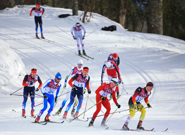 Обои картинки фото спорт, лыжный спорт, соревнование, лыжи, снег, зима, сочи, олимпиада, кросс, лыжники, трасса, лыжня