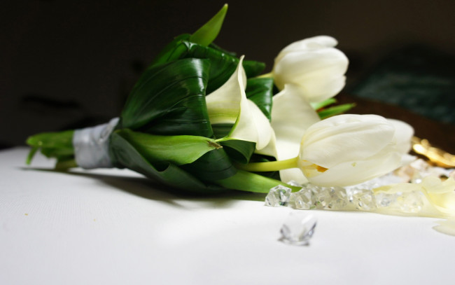 Обои картинки фото цветы, букеты,  композиции, белые, каллы, тюльпаны, букет