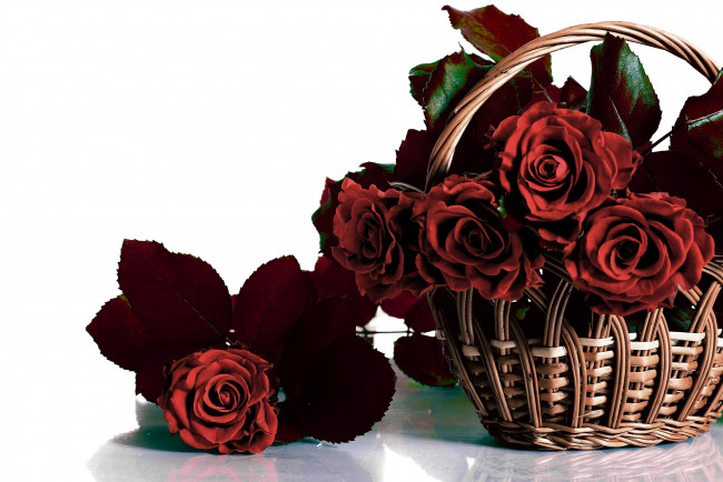 Обои картинки фото цветы, розы, корзинка