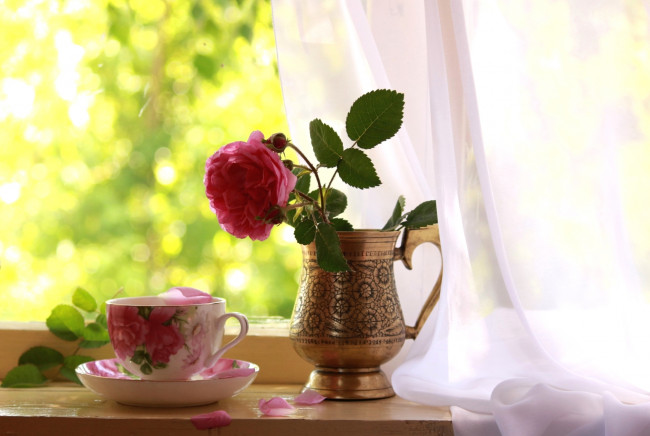 Обои картинки фото цветы, розы, окно, чашка