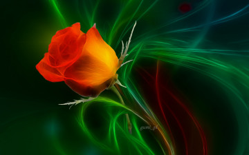 Картинка разное компьютерный+дизайн цветок роза