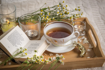 Картинка еда напитки +чай свечи книга чай ромашка