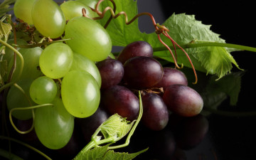 Картинка еда виноград ягоды листья макро