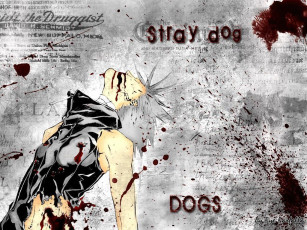 обоя аниме, dogs, bullets, carnage