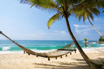 Картинка природа тропики пляж песок море пальмы берег остров океан солнце
