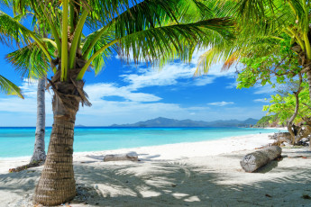 Картинка природа тропики пляж песок море солнце океан остров берег