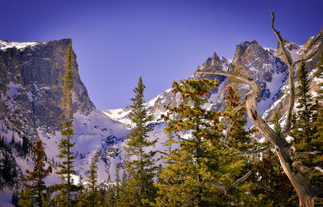 Картинка природа горы снега лес скалы