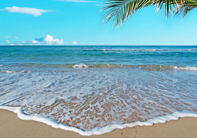 Обои картинки фото природа, моря, океаны, песок, море, солнце, океан, остров, берег, пляж, тропики