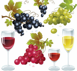 Картинка векторная+графика еда+ food грозди фон бокалы виноград вино