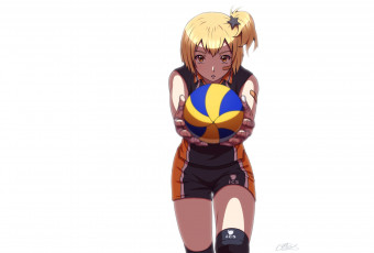 Картинка аниме haikyuu волейбол девушка