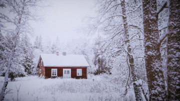 Картинка города -+здания +дома дом зима лес