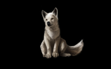Картинка рисованные животные волки волчонок