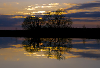Картинка природа восходы закаты озеро отражение закат дерево солнце небо облака
