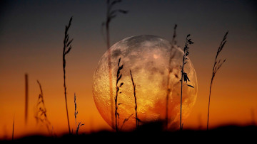 Картинка на+закате природа восходы закаты на закате трава луна