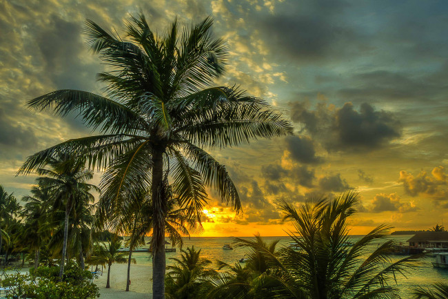Обои картинки фото природа, тропики, зарево, тучи, пальмы, океан