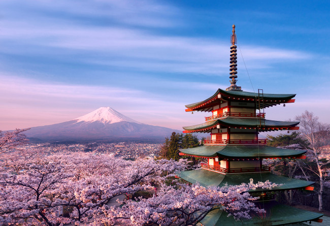 Обои картинки фото города, - здания,  дома, Япония, стратовулкан, гора, фудзияма, весна, утро, апрель, пагода, дом, архитектура, деревья, сакура, цветы