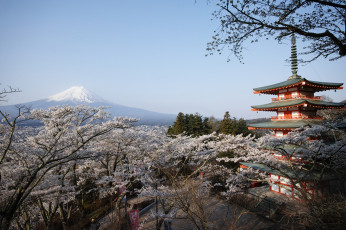 обоя chureito pagoda with mt,  fuji, города, - буддийские и другие храмы, храм, фудзи