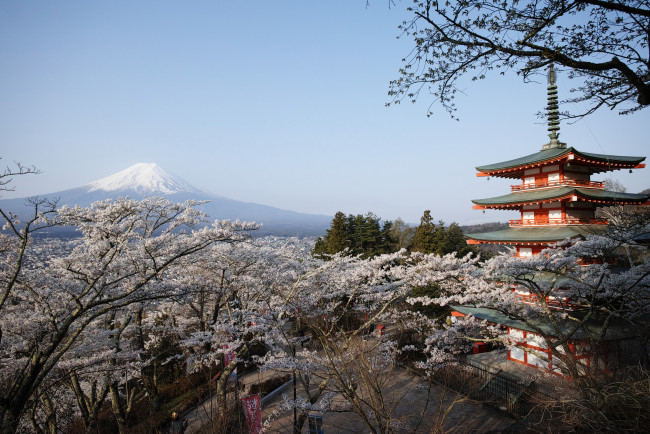 Обои картинки фото chureito pagoda with mt,  fuji, города, - буддийские и другие храмы, храм, фудзи