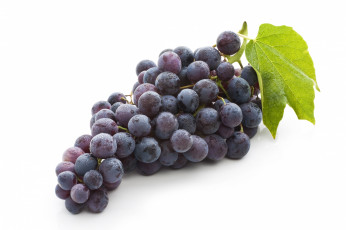 Картинка еда виноград кисть винограда