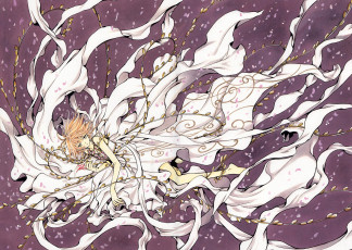 Картинка аниме tsubasa+reservoir+chronicles ветки ленты платье девушка