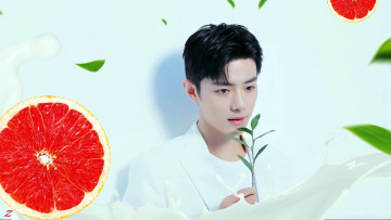 Картинка мужчины xiao+zhan актер листья ветка грейпфрут