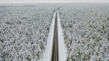 Картинка природа дороги вид с воздуха лесная дорога замороженные деревья снег зимний пейзаж