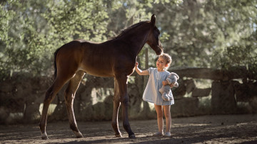 Картинка разное дети жеребёнок лошадь девочка