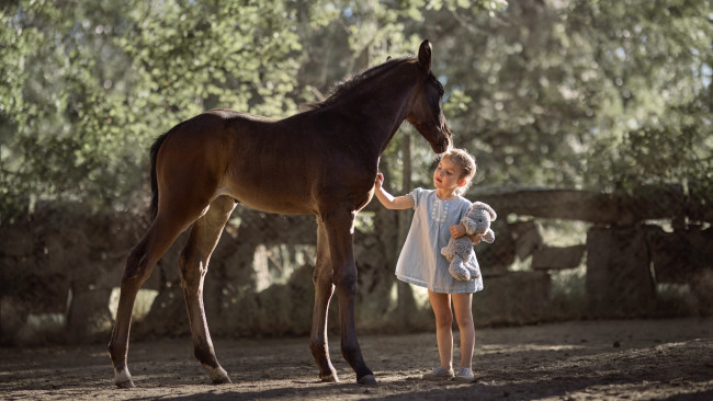 Обои картинки фото разное, дети, жеребёнок, лошадь, девочка